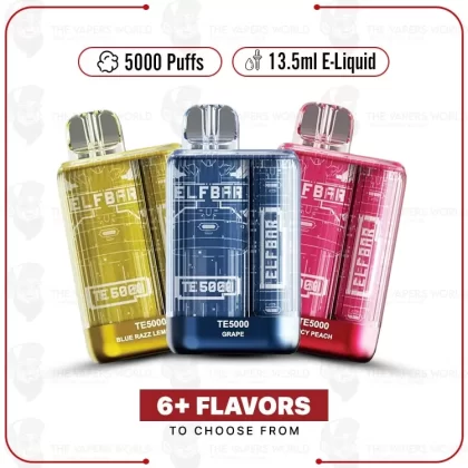 TE5000 Disposable Vape - Thevapersworld