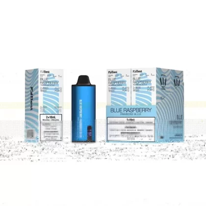 ZBEST Disposable Vape – Zpods – 18K Puffs Combo – Blue Raspberry