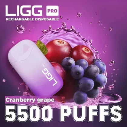 Ligg Pro 5500 Puffs Disposable Vape – Cranberry Grape