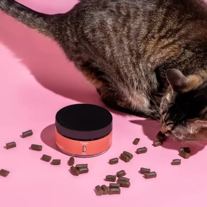 Penguin CBD Cat Treats