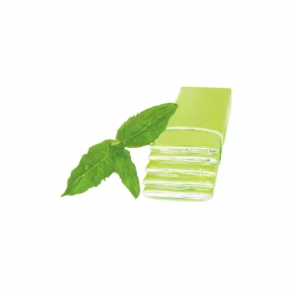 Water Soluble Spearmint & Peppermint Stick Gum (2x Mint) FW - Bangvapeaustralia