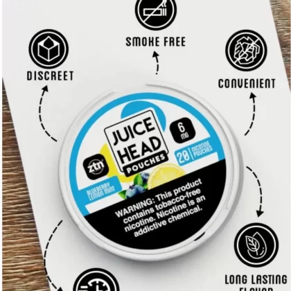 Juice Head Pouches 5pk - Blueberry Lemon Mint / 12mg - Skullvaping