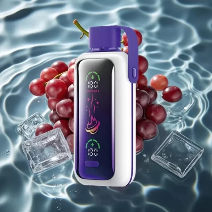 VOZOL Star 20000 Puffs Grape Ice Disposable Vape with 2.2″ HD Screen & Dual Mesh - Bangvapeaustralia