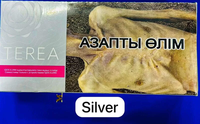 Heets TEREA Silver Kazakhstan