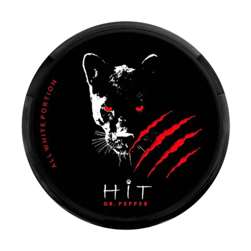 Hit Nicotine Pouches - Blueberry - Image 2
