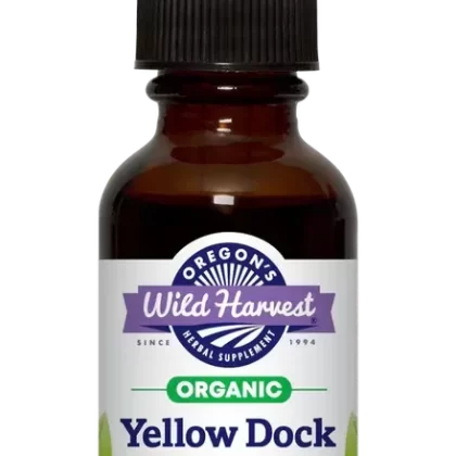 Yellow Dock Organic Extract 1 oz.