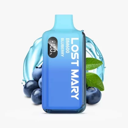 LOST MARY BM6000 | Blueberry / Heidelbeeren | Hybrid Vape