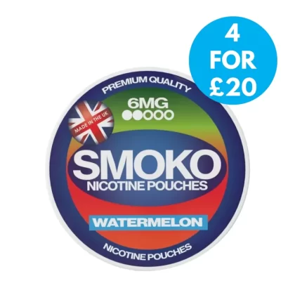 SMOKO Snus 6mg Nicotine Pouches - Blueberry Raspberry, Cinnamon Bun; Vape Product, Low