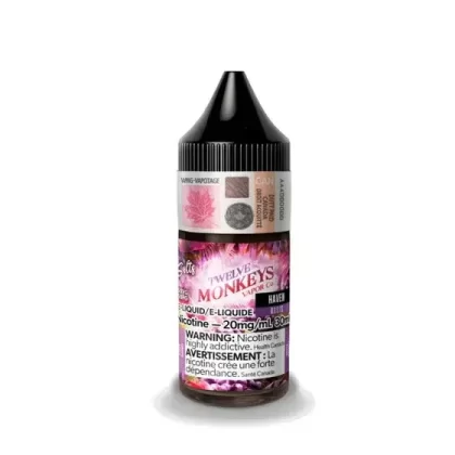 TWELVE MONKEYS SALT 30 ML – HAVEN