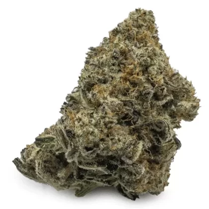 Biscotti Cannabis Strain