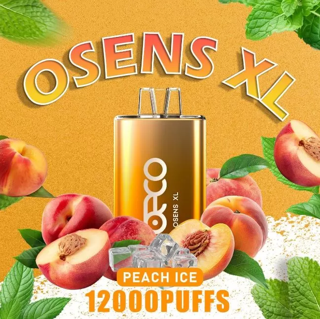 Beco Osens XL Disposable Vape (12,000 Puffs) - 50 mg / Strawberry Kiwi - Image 3