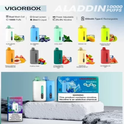 VIGORBOX ALADDIN 10000 PUFFS