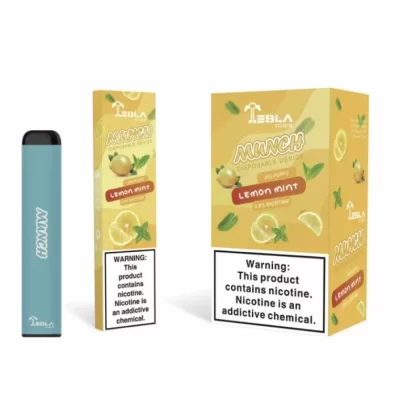 Tesla Munch Disposable Vape Device – 1PC