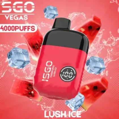 ISGO VEGAS DISPOSABLE DEVICE(14000 PUFFS)