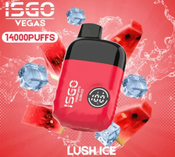 ISGO VEGAS DISPOSABLE DEVICE(14000 PUFFS)
