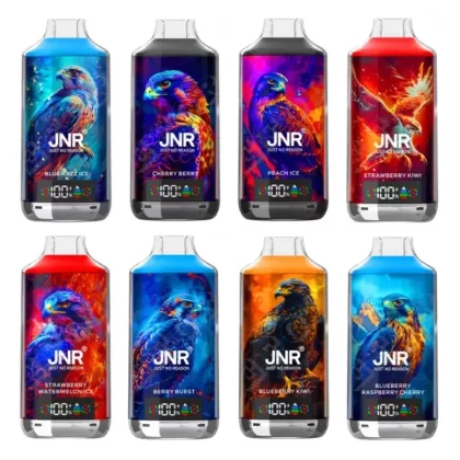 JNR Falcon X 18000 Puffs Disposable Vape - Flavors#Blue Razz Ice>Blueberry Raspberry>Cool Mint>Kiwi Watermelon Ice>Grape Ice>Strawberry Kiwi>Strawberry Watermelon Ice>Watermelon Ice>Strawber (3366E3)