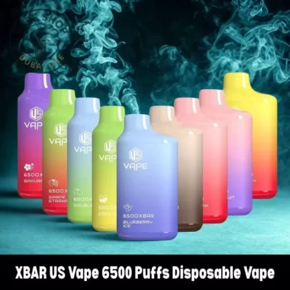 XBAR US Vape 6500 Puffs Disposable Vape - 1pc/pack, BOX OF 10 PCS; Blueberry Ice, Cool Mint (AAB63F)