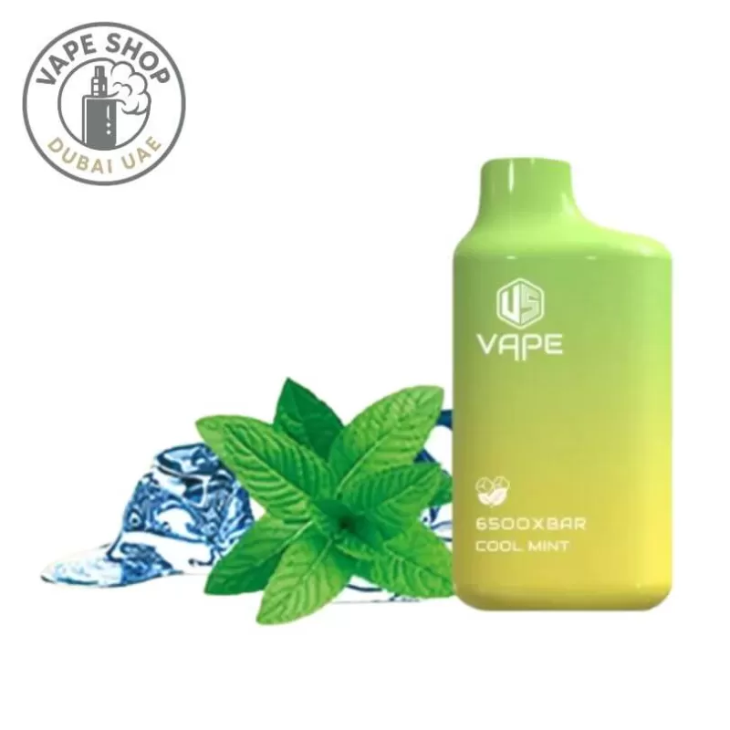 XBAR US Vape 6500 Puffs Disposable Vape - 1pc/pack, BOX OF 10 PCS; Blueberry Ice, Cool Mint (AAB63F) - Image 3