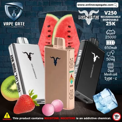 IGNITE - V250 Rechargeable Disposable Vape (25,000 Puffs) - Icy Mint / 50 mg