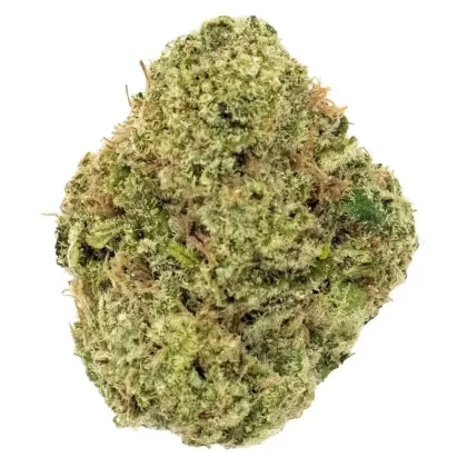 7Acres Wappa 49