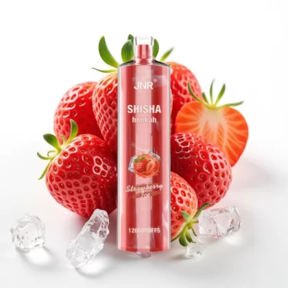 JNR Shisha Hookah 12000 Puffs Fresa Helada 24ml 750mAh Tipo-C - Fumotvapemexico