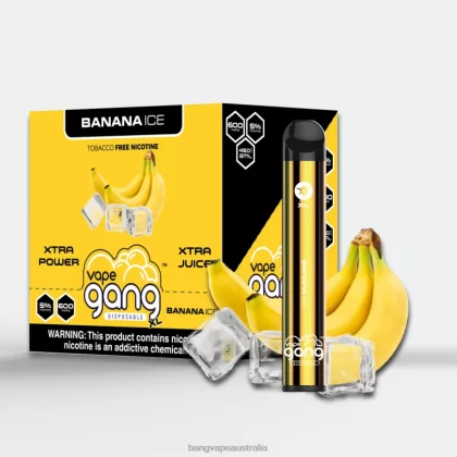 Vape Gang XL Disposable Vapes 600 puffs (Box of 10) 6006N63 Banana Ice – Vape Gang Australia - Bangvapeaustralia