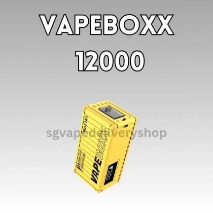 Vapebox 12000 Puffs - Lychee Sparkling
