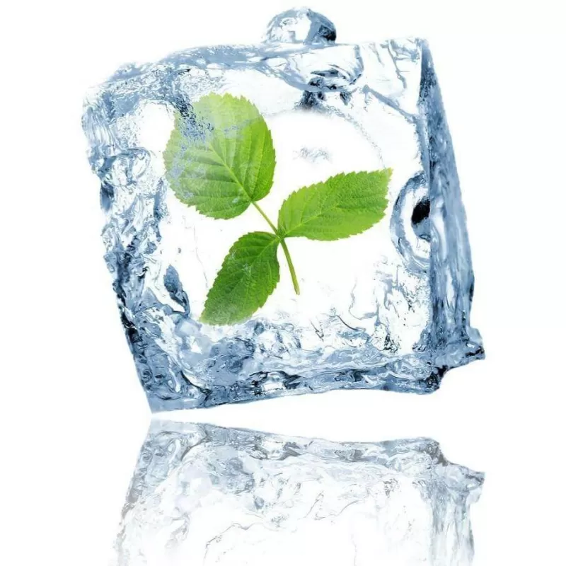 Spearmint E-Liquid - Image 2