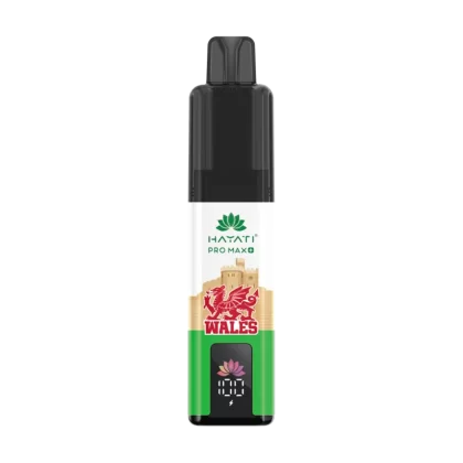 Hayati Pro Max Plus 6000 Wales Souvenir Edition - Blueberry Raspberry - Ecigwizard