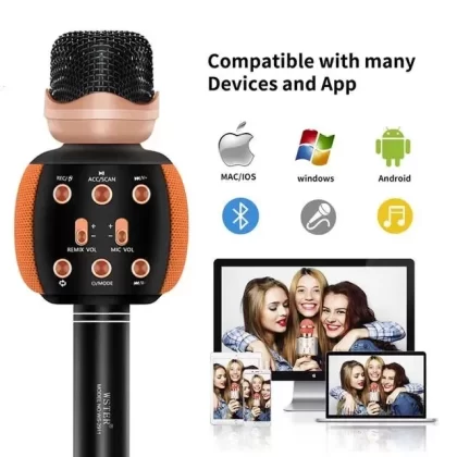 Wster WS-2911 Wireless Karaoke Microphone with Speaker