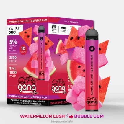 Vape Gang Switch Duo 2 flavors (Box of 10) 6006N49 Watermelon Lush – Bubble Gum – Bang Vape Price - Bangvapeaustralia