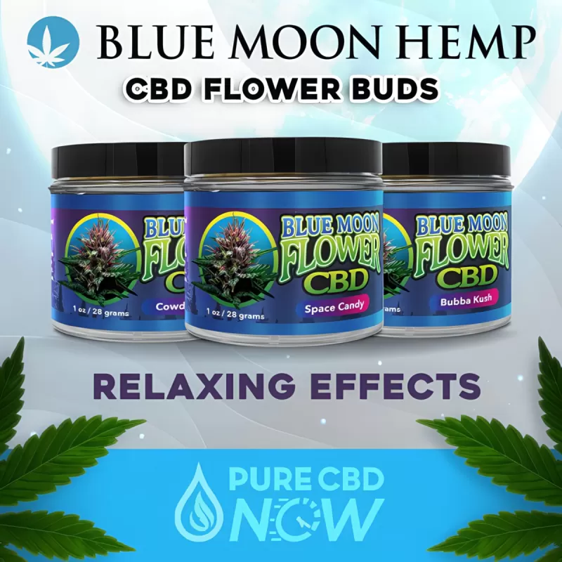 Blue Moon Hemp CBD Flower Buds in Jar - Image 2