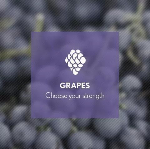 Grape By Blast E-Liquid 10ml - Nicotine Free