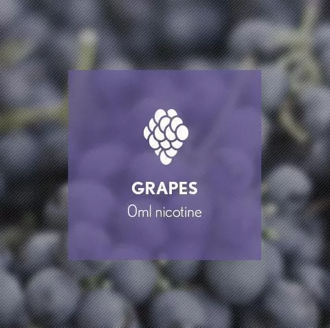 Grape By Blast E-Liquid 10ml - Nicotine Free - Image 2