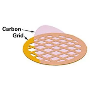 Carbon Film only on 200 mesh