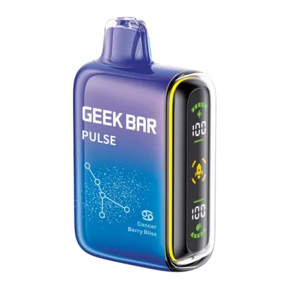 BERRY BLISS GEEK BAR PULSE - Huffvape