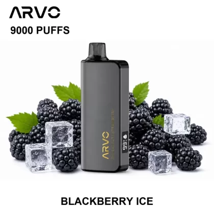 ARVO 9000 PUFFS – Blackberry Ice - Ozvapeone (F888D4)