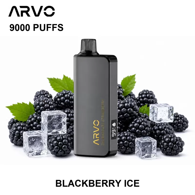 ARVO 9000 PUFFS – Blackberry Ice - Ozvapeone (F888D4)