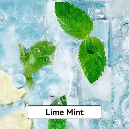 Relx Infinity Pod Gen6 2 pods pack – Lime Mint - Ozvapeone (DF4246)
