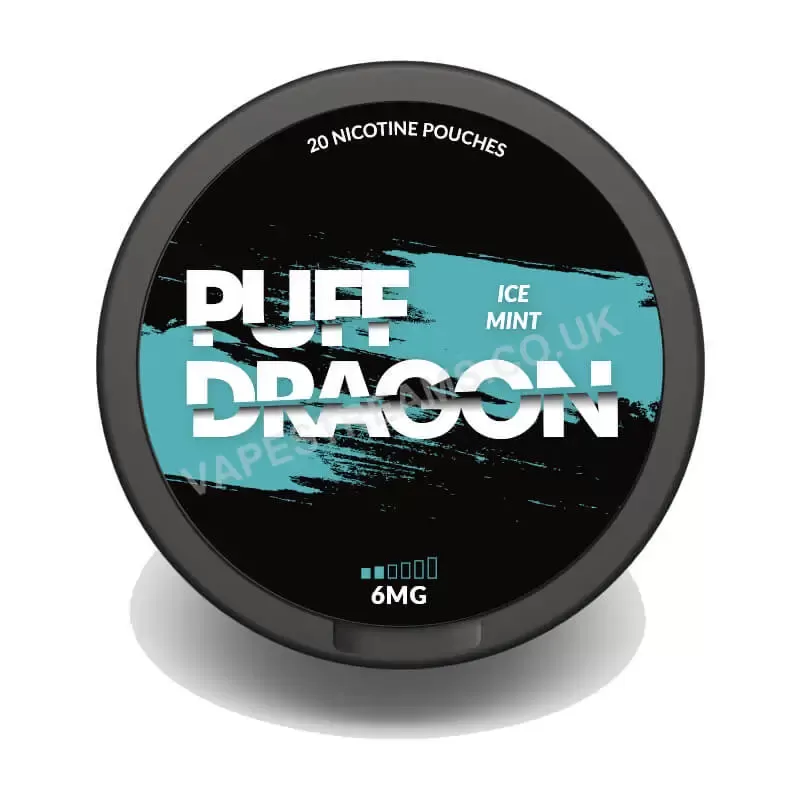 Puff Dragon Ice Mint Nicotine Pouch - Vapestreams Co