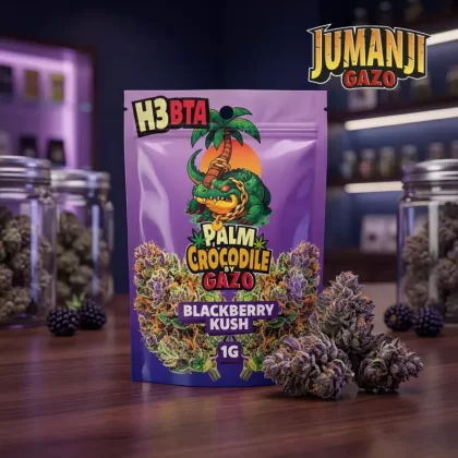 Gzuz Jumanji H3BTA - Blackberry Kush