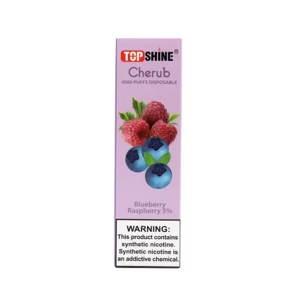 Blueberry Raspberry Shine Cherub Disposable Vape 4500 Puffs