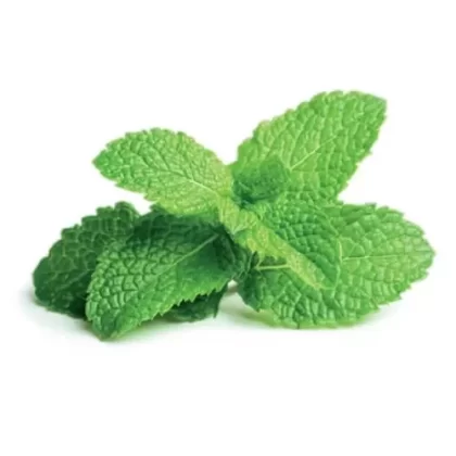 Flavor West – Spearmint Natural 15mL - Vape Store
