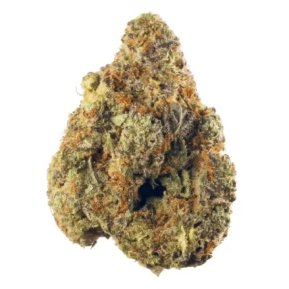 STARDAWG - Ukvapehouse