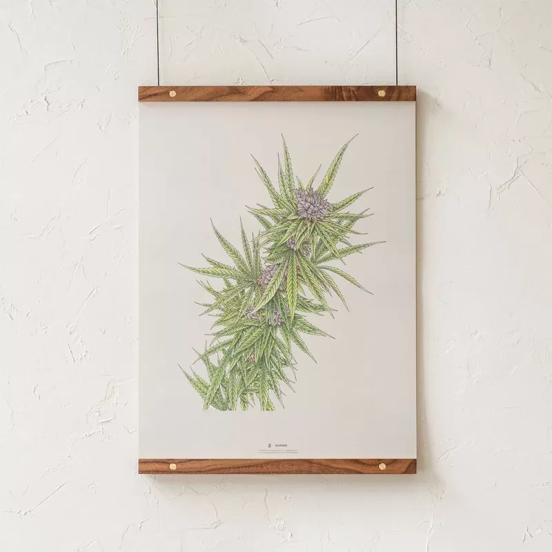GoldLeaf Blue Dream Botanical Illustration Print