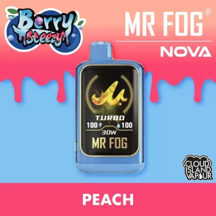 MR FOG NOVA 36K Disposable Vape – Berry Steezy Peach