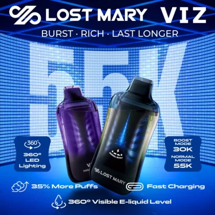 Lost Mary VIZ 55K Puff Disposable Device - 55,000 Puffs - Passionade Orange