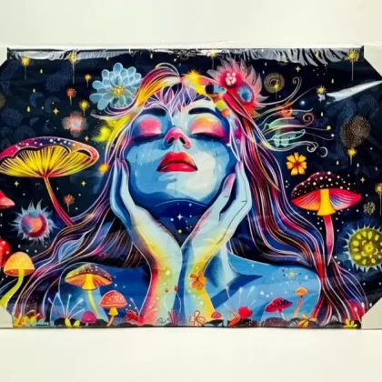 Canvas Print Poster – Mushroom Lady - Ejuicewarehouse