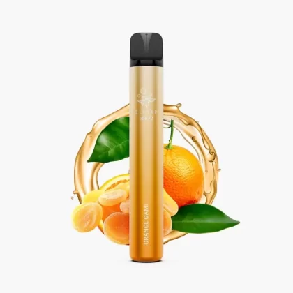 ELFBAR 600V2 Orange Gami / Orangen | Kiwi Einweg Vape