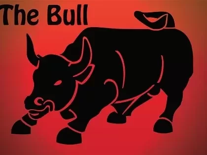 The Bull Premium E-Liquid